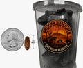 Medium Dubia Roaches